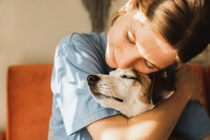 The Truth About Pre-existing Conditions in Pet Health Plans