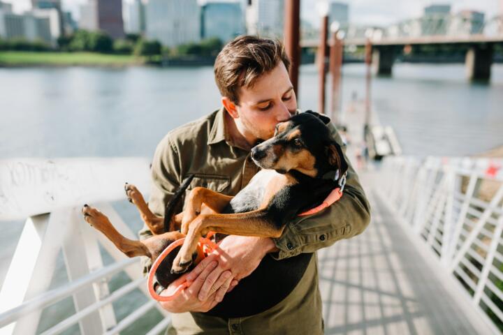 How Pet Claim Reimbursement Works