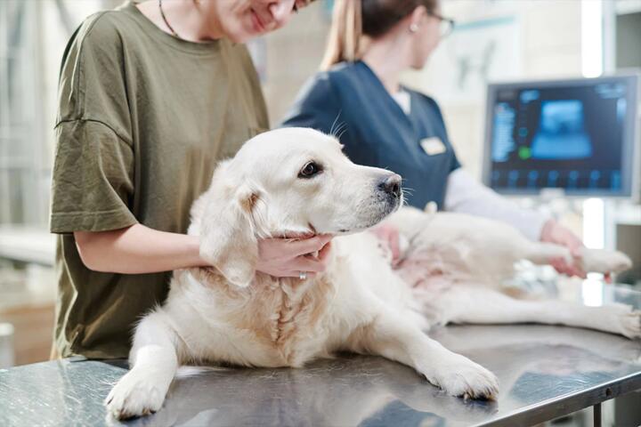 The Difference Between Accident and Illness Coverage