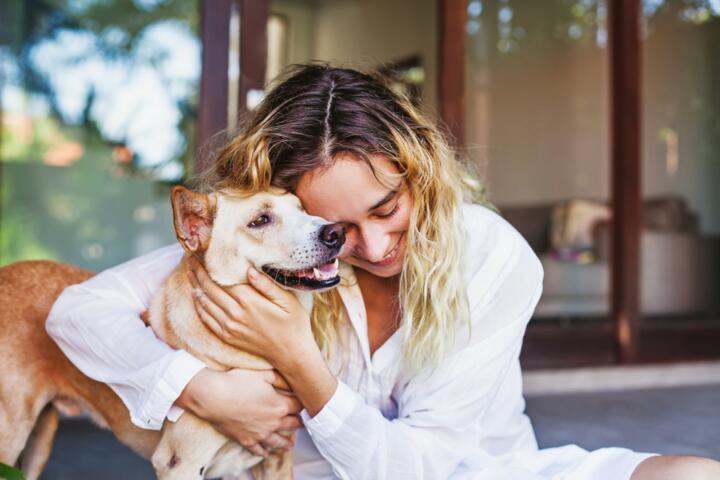 How to File a Pet Insurance Claim and Get Reimbursed Faster